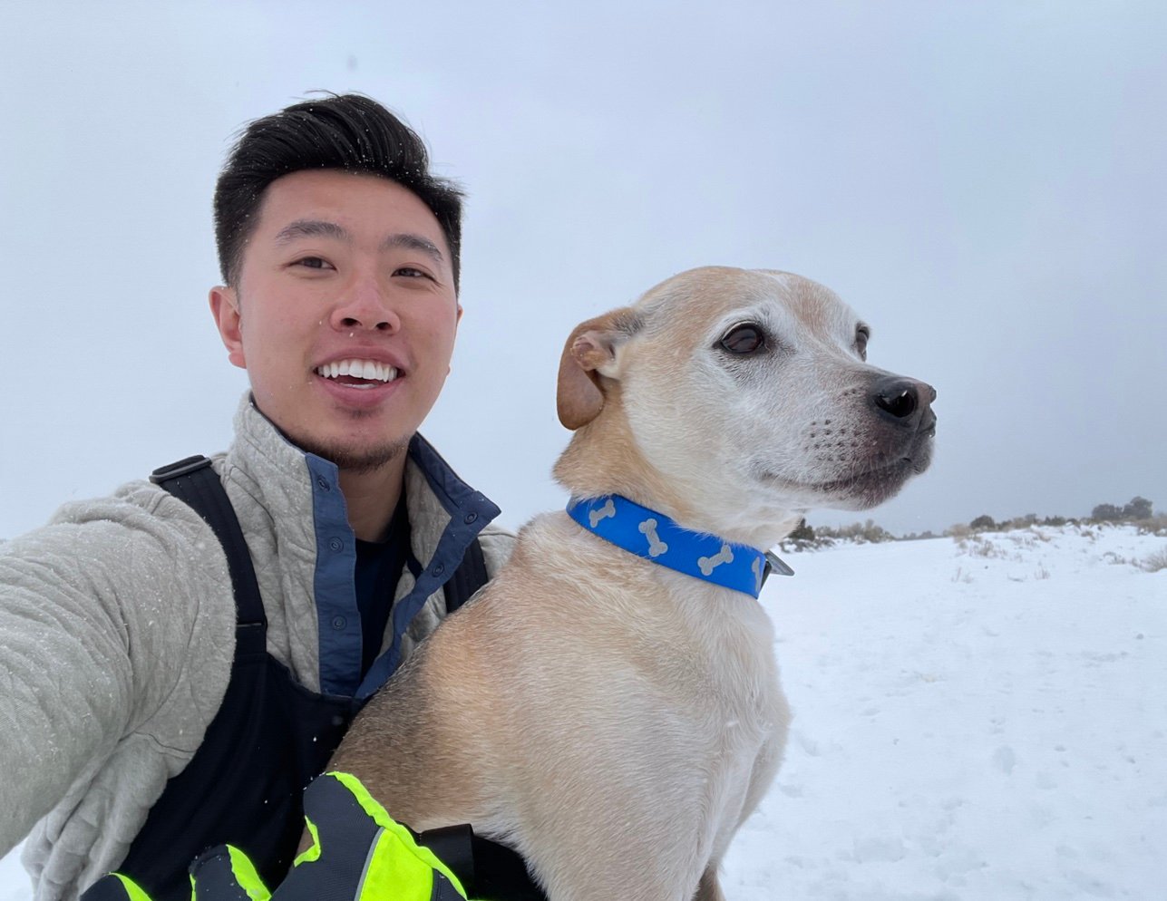 OfficialAndyLam's profile picture. 