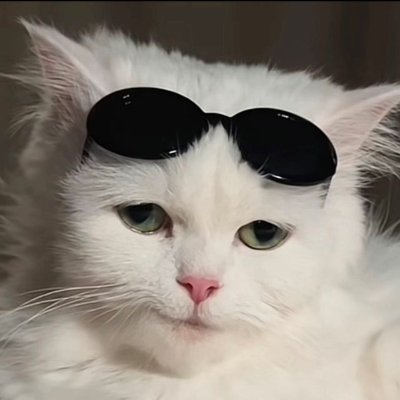 ThisJosh_'s profile picture. ;