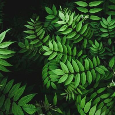 macarfv's profile picture. 