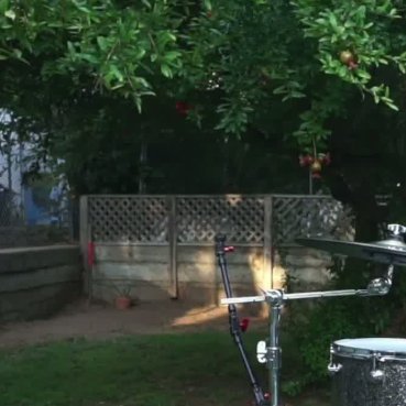 50statestruth's profile picture. 