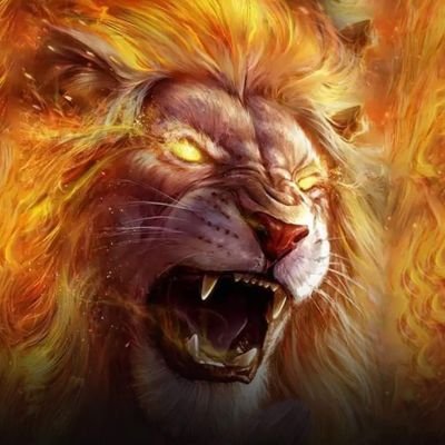 RK (Rocky) ❤️🖤 Moz Profile