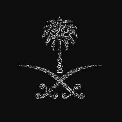 Faisalx511's profile picture. #أبطال_العالم / @TeamFalconsGG || @Alhilal_FC