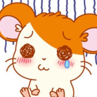 omikikl's profile picture.