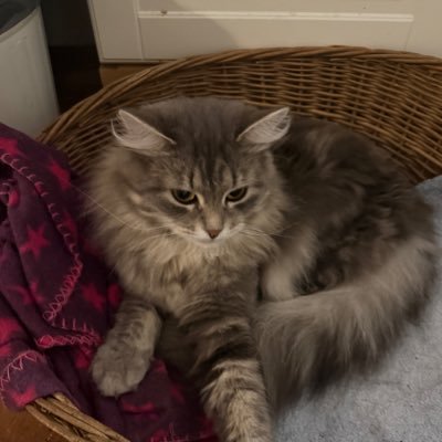 cigaretthora's profile picture. et tu, brute