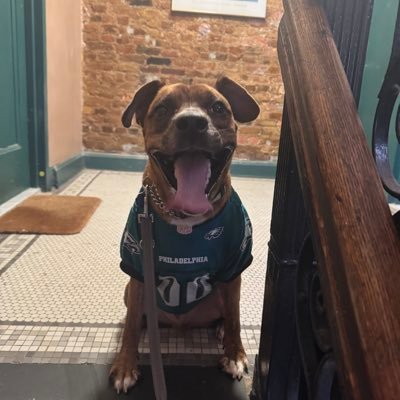 bflat624's profile picture. 