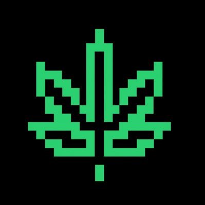 hemp0x's profile picture. $HEMP L1 evm blockchain / x chat https://t.co/aIyYRoXjOR