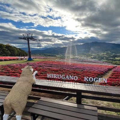 aog_is_ib_mo02's profile picture. 趣味垢兼日常垢。あおぎり高校にハマったしがない大学生。石狩先輩🍅📸と萌実さん🔔💝とゐぶきち🥾🌙推させていただいてます。あおぎり高校みんな好きです、はい。実況も好きで、日常組推してます。自分の事も割と呟きます。