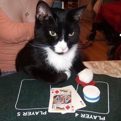 MillionSanta's profile picture. play to win or don’t play at all