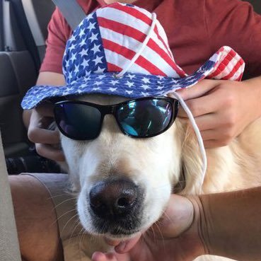 DrakeP103's profile picture. 