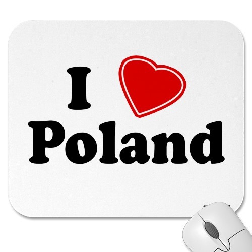 Polska web, darmowe ogloszenia w internecie, motoryzacyjne, nieruchomości, nowosci. POL24 - Poland web guide.