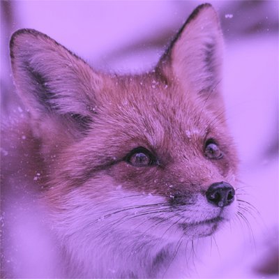 foxgirl_gaming's profile picture. 21 🏳️‍⚧️ 🦊