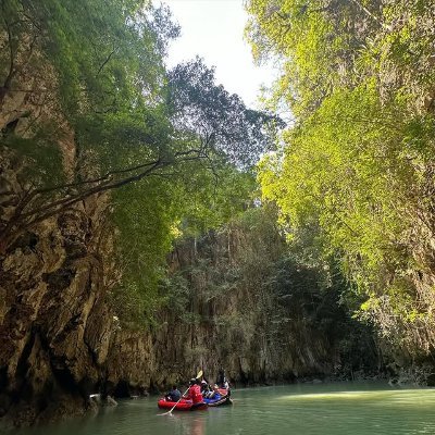 Thewholeaa's profile picture. Success is not about how many things you get, but how much you throw away the excess things you have