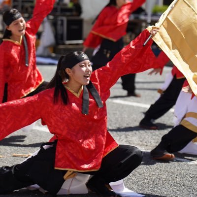 llvrn_7's profile picture. TEAMSAKURA🌸   アイコン→のだぶうさんです🙇🏻‍♂️