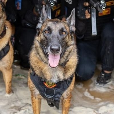 Gh0tak's profile picture. 