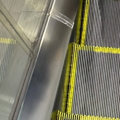 tajamatama42's profile picture. 