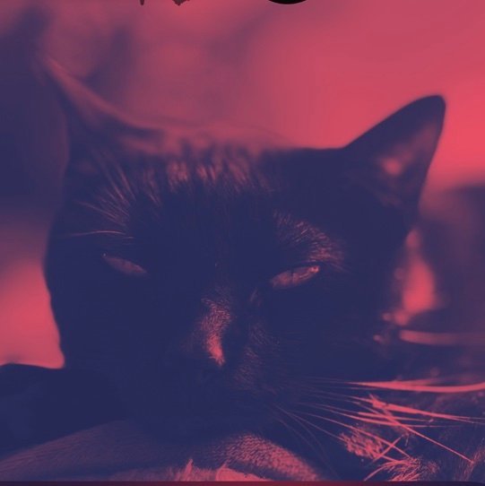 Buck21m's profile picture. ₿ & UFOs