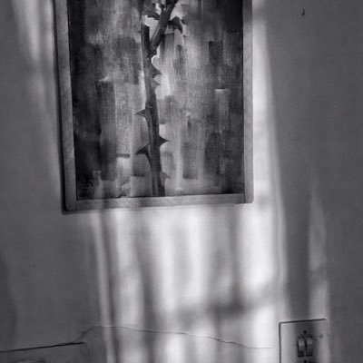 sami_s182's profile picture. بنده‌ی چای، نوای شجریان، شبهای زمستان و دنیای کتاب ها.