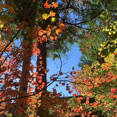 Outdoorfun17's profile picture. #tech, #outdoor, #nature, #sports, #social, #life,#fun🤩😇