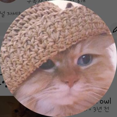 punkcult's profile picture. Corea Ura!