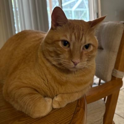 Soundwave13's profile picture. 