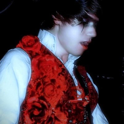 @rydennhistorian