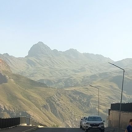 hussainjuma's profile picture. Çiçeği verdim arıya, ballarda seni aradı.