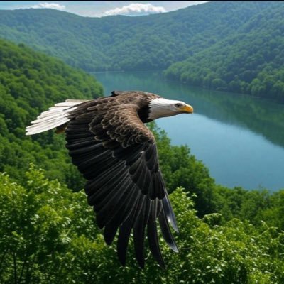 FairrytaleG's profile picture. America First. MAHA. Charlie Kirk. 🙏❤️🇺🇸