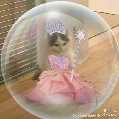 pedripetista's profile picture. se alguém vazar algo daqui vou saber quem foi viu