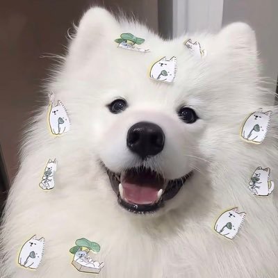 youkangqi520's profile picture. 一切cx行为都是在为自己钱包负责/疯狗一样传播