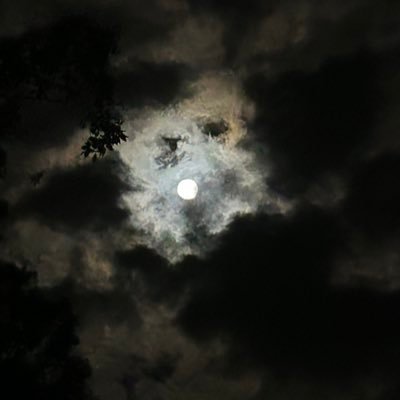 icemff_'s profile picture. 