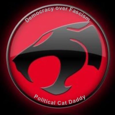@PoliticalCatTN