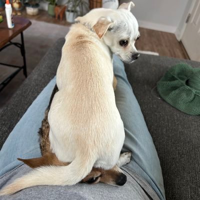 SueVozar6tee9's profile picture. 