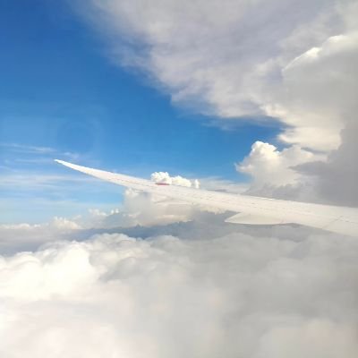 kyo2181849's profile picture. (๑•﹏•)