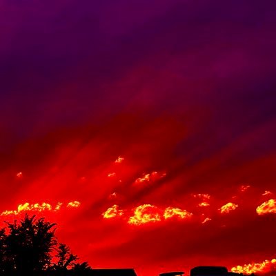 daniell89855757's profile picture. I love talking Pictures Sunset and Sunrise 📸✌🏻Collect hot Wheels cars and Lowrider my dad have 64 Chevy impala❤️💙Go Giants✨go Utah Utes