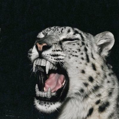 pantherawrz's profile picture. I do not ask for your bags, only your veneration.