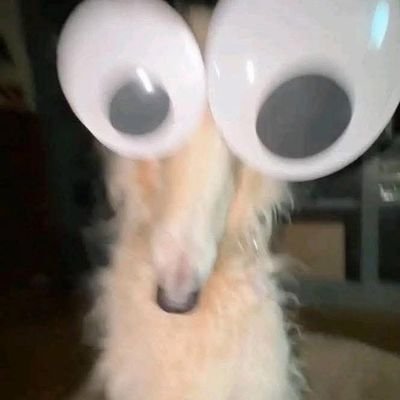 syknorx's profile picture. Pckxpck no fake