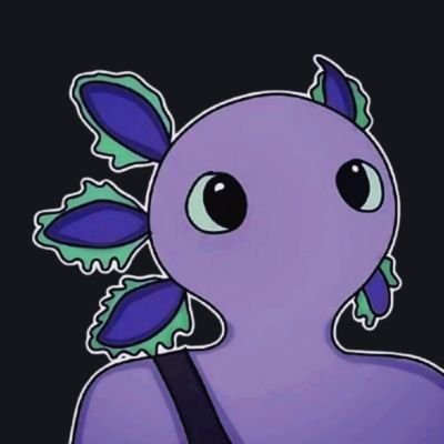 @oxxyfn