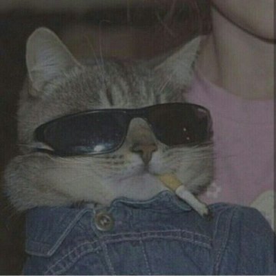 recursivehandle's profile picture. @LFC Fan | Engineer based somewhere on earth rn.               Smoking, Drinking, Crying.
Shitposting @recursivehandle