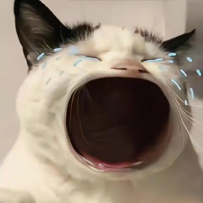 sfkijd's profile picture. 台湾の夜市で新台币💵で幸福を探し、日本の桜🌸の下で円💴で生活の温かさを感じます。毎回の旅は幸福への追求です！💖✨
