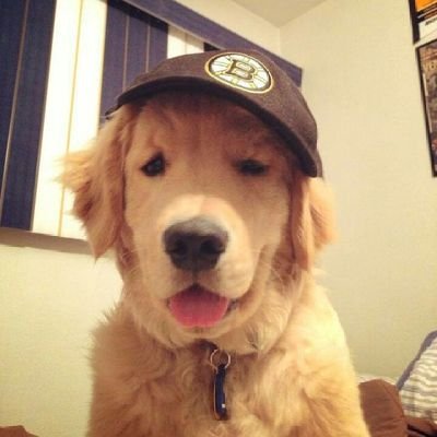 ex_xe08's profile picture. 