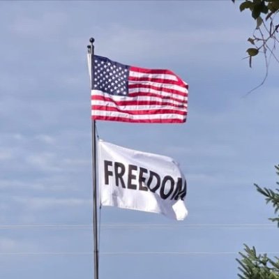 VoteBAnn's profile picture. 