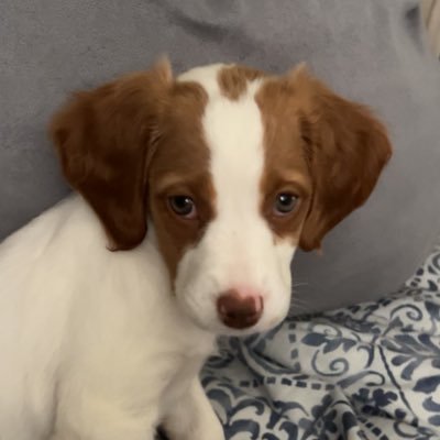 Pennylaneplay's profile picture. 