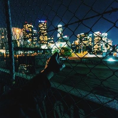 Th1ngsAr3Here's profile picture. What is there to say that hasn't already been said? I'm just a wild thing, saying wild things.