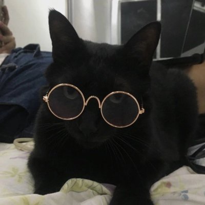 wiligames19X's profile picture. The Official Creator of Ceiling Fan City Alpha 19.1 Contacts: Roblox:(https://t.co/7rbVnN0u4F)