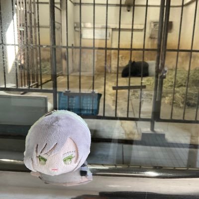 abacus_bakas's profile picture. そろばん好き(歴11年)／全珠連 暗算十段 珠算九段