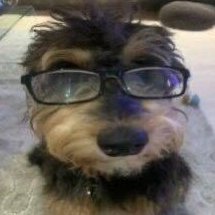 neakwastaken's profile picture. stan loona | @cruzeiro