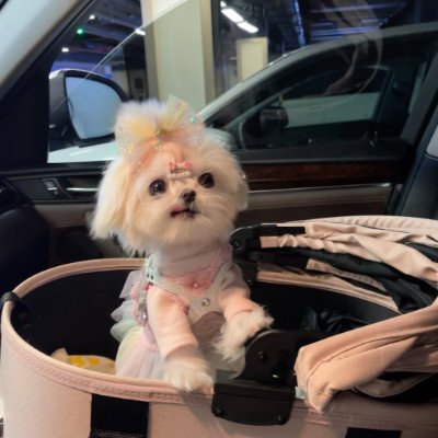 LircChasn's profile picture. 時代がより暴力的になったわけではなく、ただテレビでより暴力的に放映されるようになっただけだ。