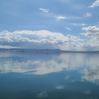 ccfdland's profile picture. 