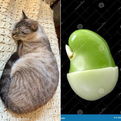 bamb1ku's profile picture. The derp in me is authentic and pure