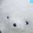 Sk1Hkcyi's profile image
